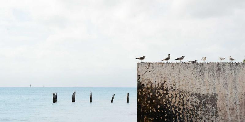 从广告设计到文化共鸣：河南博雅通如何通过社交媒体构建品牌情感连接