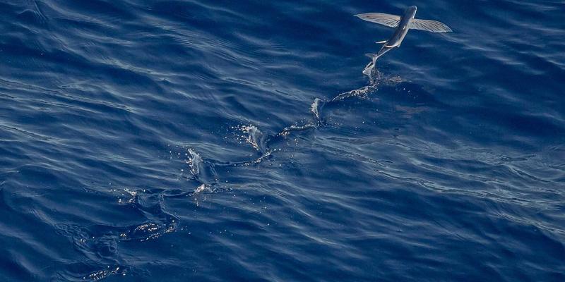 数据驱动创意：河南博雅通如何通过大数据洞察消费者，赋能广告服务与文化传播