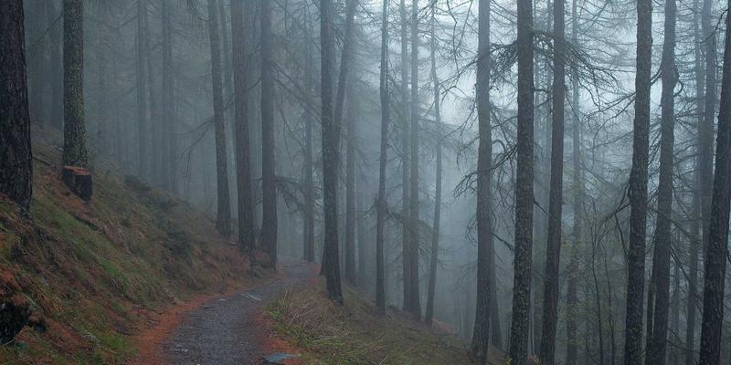 文化传播新视角：河南博雅通家庭教育指导师培训课程内容全解析