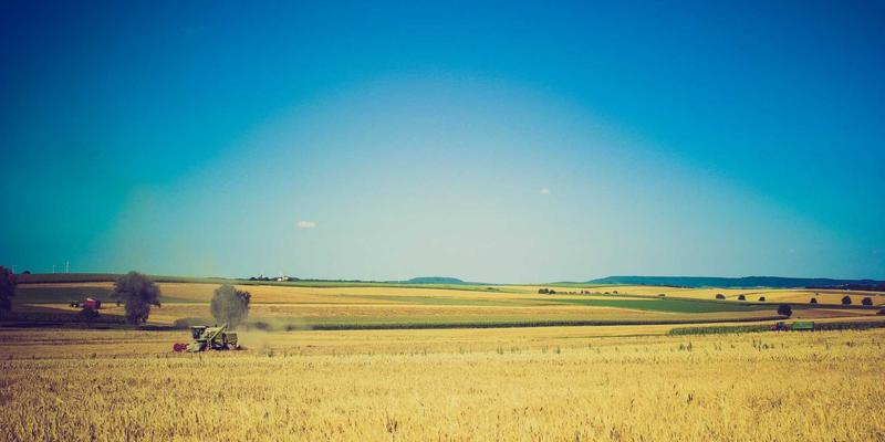 河南博雅通16：以广告设计、品牌策划与媒体发布构筑品牌增长新引擎