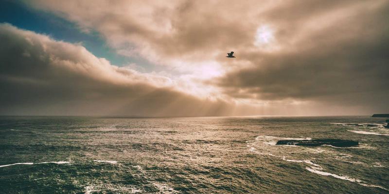 河南博雅通60：以文化传媒之力，打造卓越广告服务新标杆