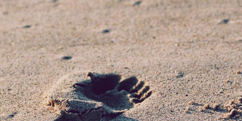 河南博雅通7：专业广告服务与品牌策划的行业标杆