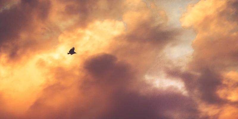 河南博雅通：以媒体发布与广告服务为核心，为科技企业打造有温度的品牌叙事