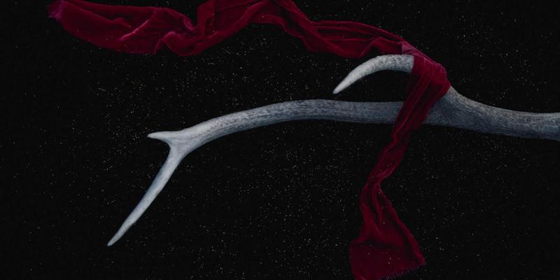 河南博雅通企业内训定制：如何通过品牌策划与文化传播破解行业痛点