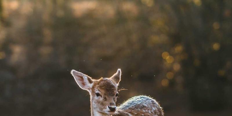 河南博雅通品牌故事构建工作坊：如何用中原文化赋能品牌策划与媒体发布