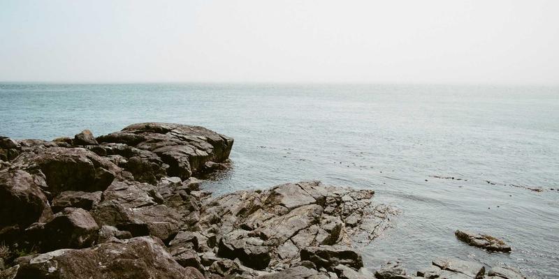 河南博雅通如何运用品牌策划与广告设计思维，提升本土农产品品牌溢价