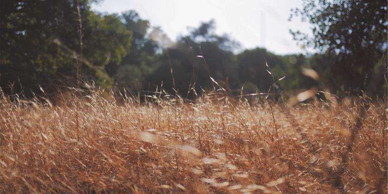 河南博雅通新媒体运营实战课程：从文化传媒到广告设计，从零到一打造企业流量池