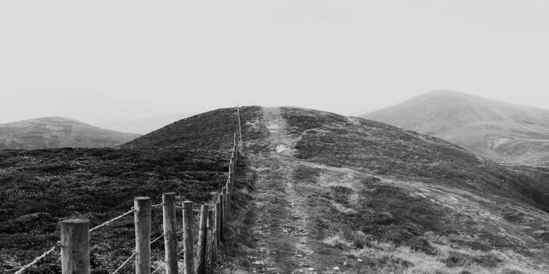 河南博雅通趋势:品牌策划、广告服务与文化传播的融合之道