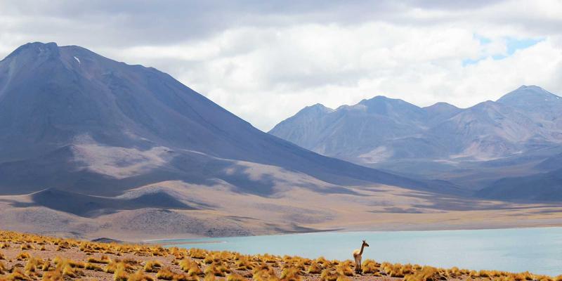 郑州品牌策划与广告服务口碑解析：河南博雅通文化传媒的学员真实评价汇总